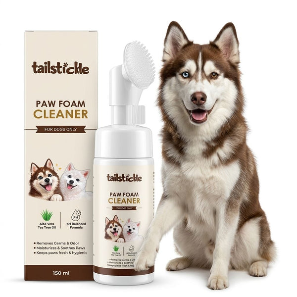 How to Clean Your Dog's Paws After Every Walk (Vet-Approved Guide)